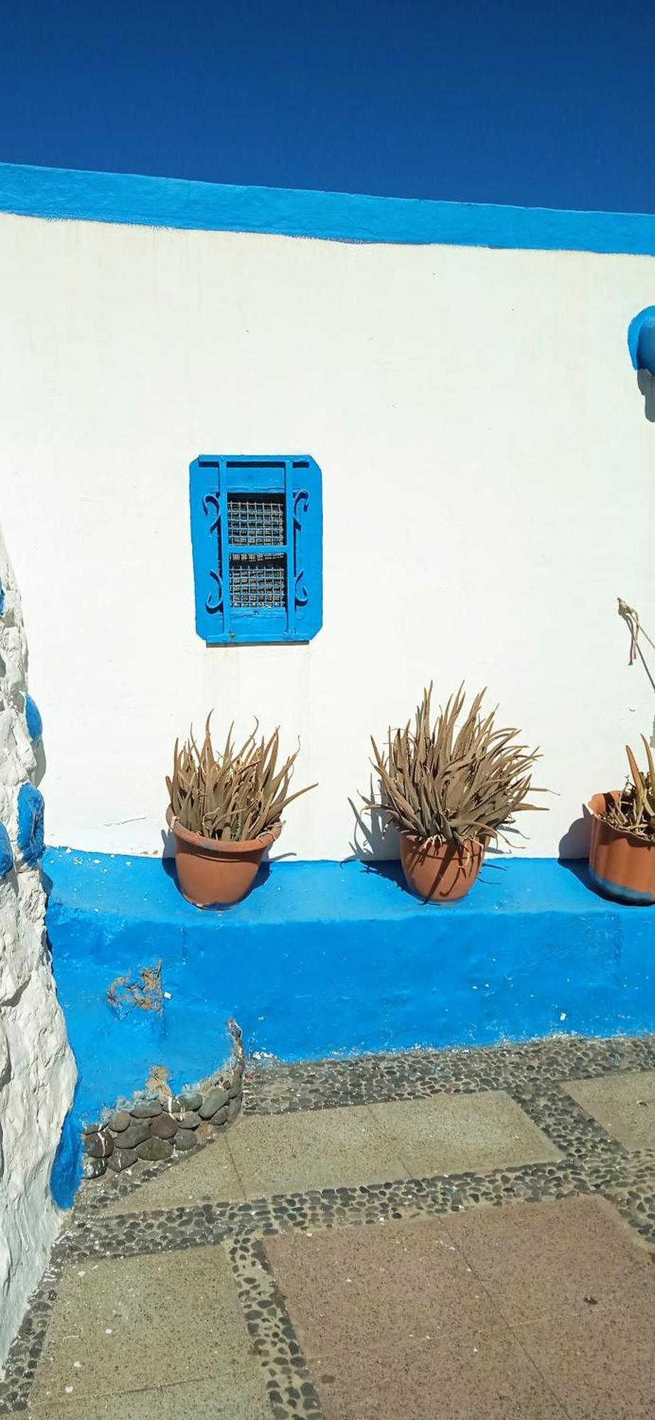 Oasis El Palmeral De Agaete Agaete  Zewnętrze zdjęcie