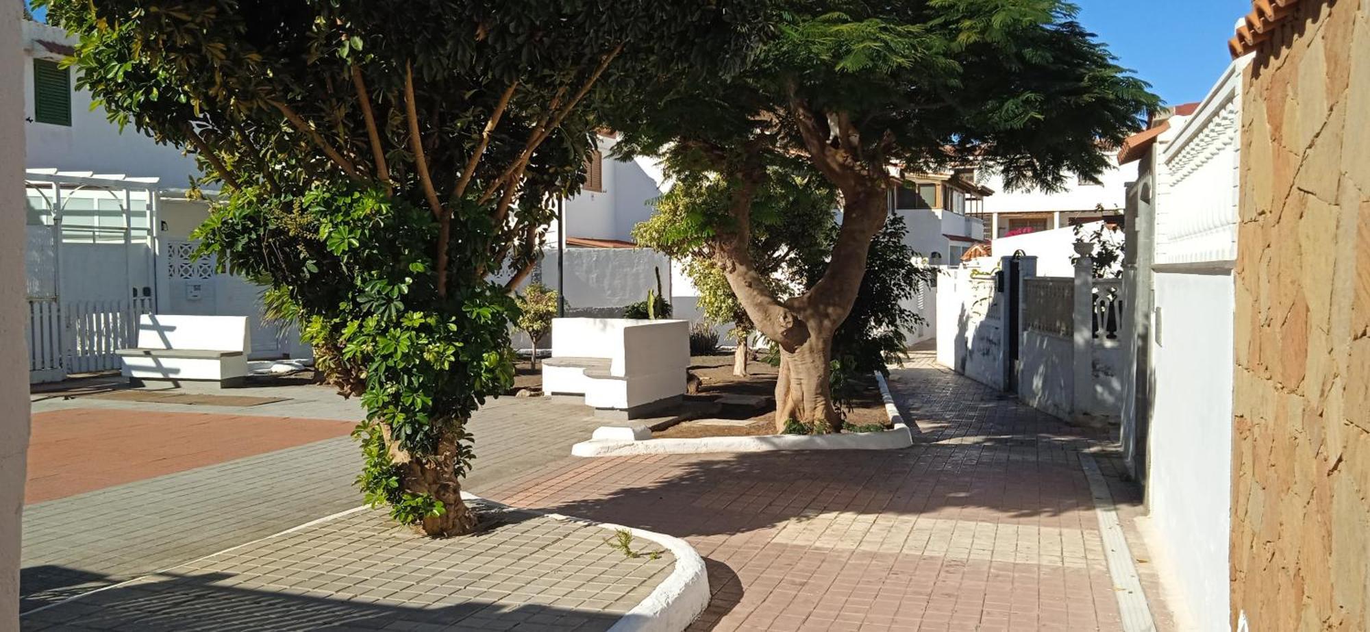 Oasis El Palmeral De Agaete Agaete  Zewnętrze zdjęcie